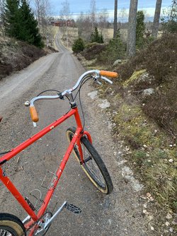 IMG_2064.jpeg