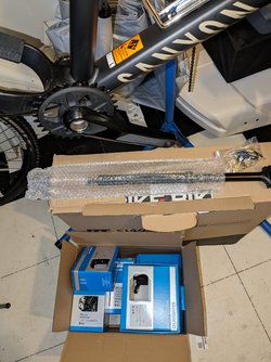 PXL_20240325_163411164.jpg