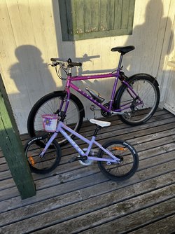 IMG_3789.jpeg