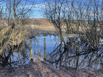IMG_2554.jpeg