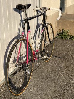 IMG_0386.jpeg