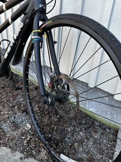 IMG_2304.jpeg