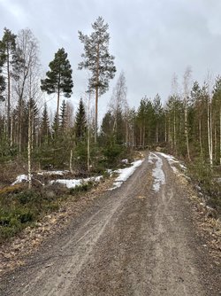 IMG_4460.jpeg