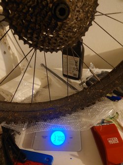 20240418_203910.JPG