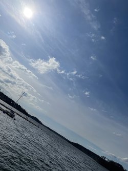 IMG_3262.jpeg