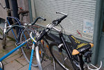 IMG_4080.jpg
