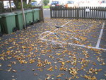 100_0063.JPG