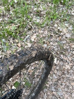 IMG_0762.jpeg