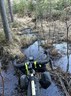 IMG_1870.jpeg