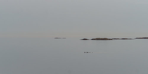 _DSC3175.jpeg