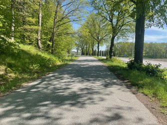 IMG_3395.jpg