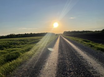IMG_2689.jpeg