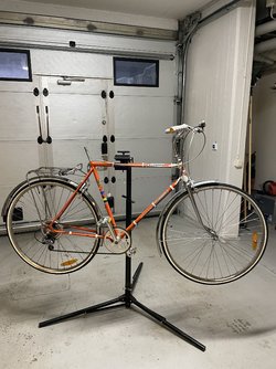 IMG_6481.jpeg