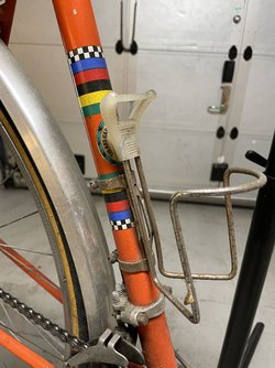 IMG_6487.jpeg