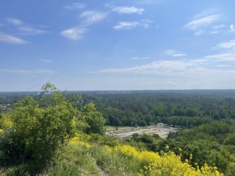 IMG_0652.jpeg