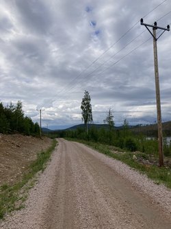 54D5F0A0-F826-412E-BA1C-10E884467737.jpeg