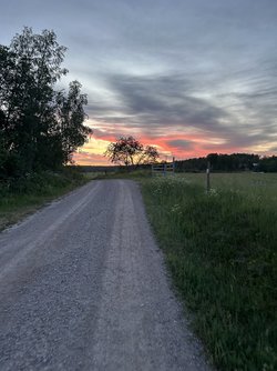 IMG_2085.jpeg