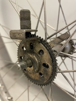 IMG_6686.jpeg