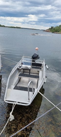 20240607_171422.jpg