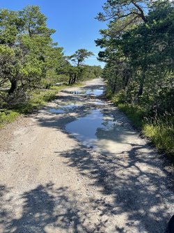 IMG_0766.jpeg