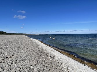 IMG_0763.jpeg