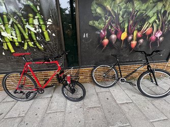IMG_1916.jpeg