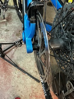 IMG_2083.jpeg