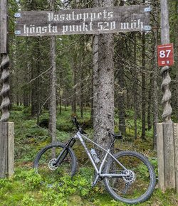 PXL_20240709_093544540~2.jpg