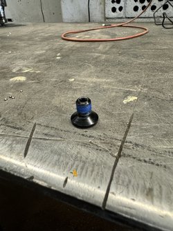 IMG_3388.jpeg
