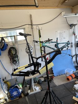 IMG_1430.jpeg