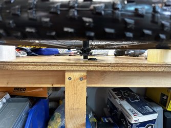 IMG_2260.jpeg