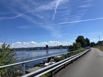 IMG_2324.jpeg