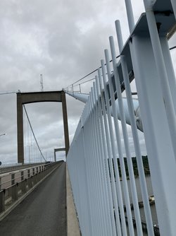 IMG_1501.jpeg