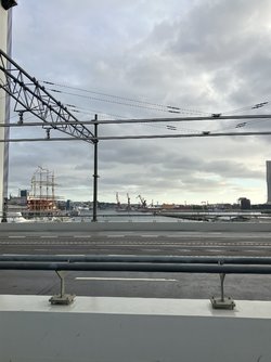 IMG_1506.jpeg