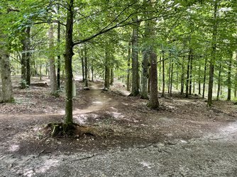 IMG_5618.jpeg