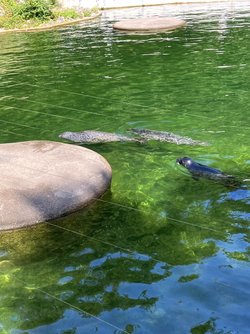 IMG_1519.jpeg