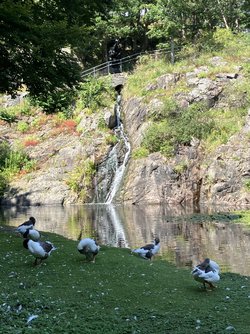 IMG_1514.jpeg