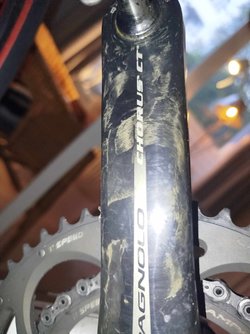 IMG_7063.jpeg