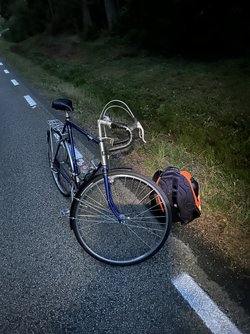 IMG_3437.jpeg