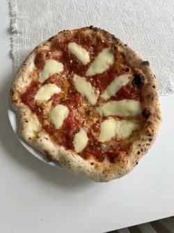 IMG_4346.jpeg