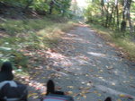 IMG_9008.JPG