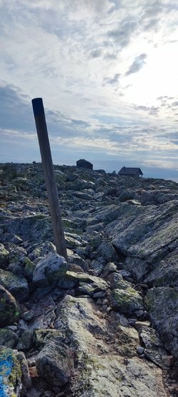 IMG_20240804_074443.jpg
