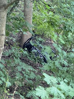 IMG_0377.jpeg
