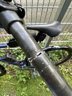 IMG_0381.jpeg