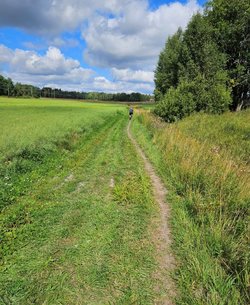 IMG_20240805_180945 (2).jpg