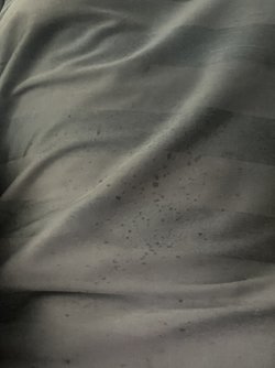 IMG_0925.jpeg