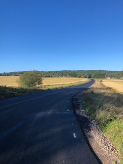 IMG_1956.jpeg IMG_1956.jpeg