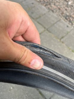 IMG_5913.jpeg