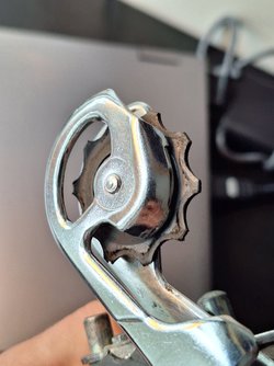 20240910_152636.jpg