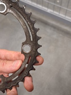 20240910_152136.jpg
